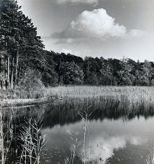 Cas Oorthuys - Ven in Brabant - originele foto op bariet-fotopapier kopen? Bied vanaf 50!