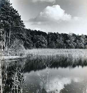 Cas Oorthuys - Ven in Brabant - originele foto op bariet-fotopapier verkocht voor € 50!