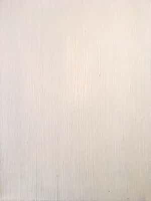 Gjalt Walstra - minimalistisch doek van deze Friese kunstenaar - 2003 verkocht voor € 50!