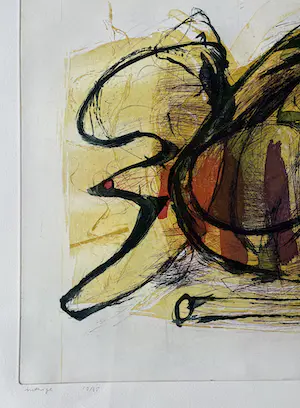 Hans Vredegoor - Prachtige kleurenets - Gesigneerd - Kleine oplage - 'Intrige' kopen? Bied vanaf 65!