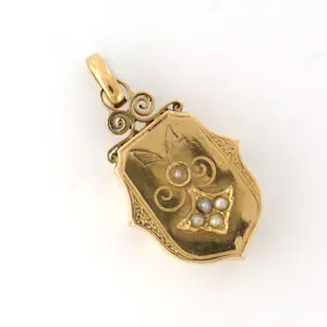 14k gouden hanger bezet met parels kopen? Bied vanaf 500!