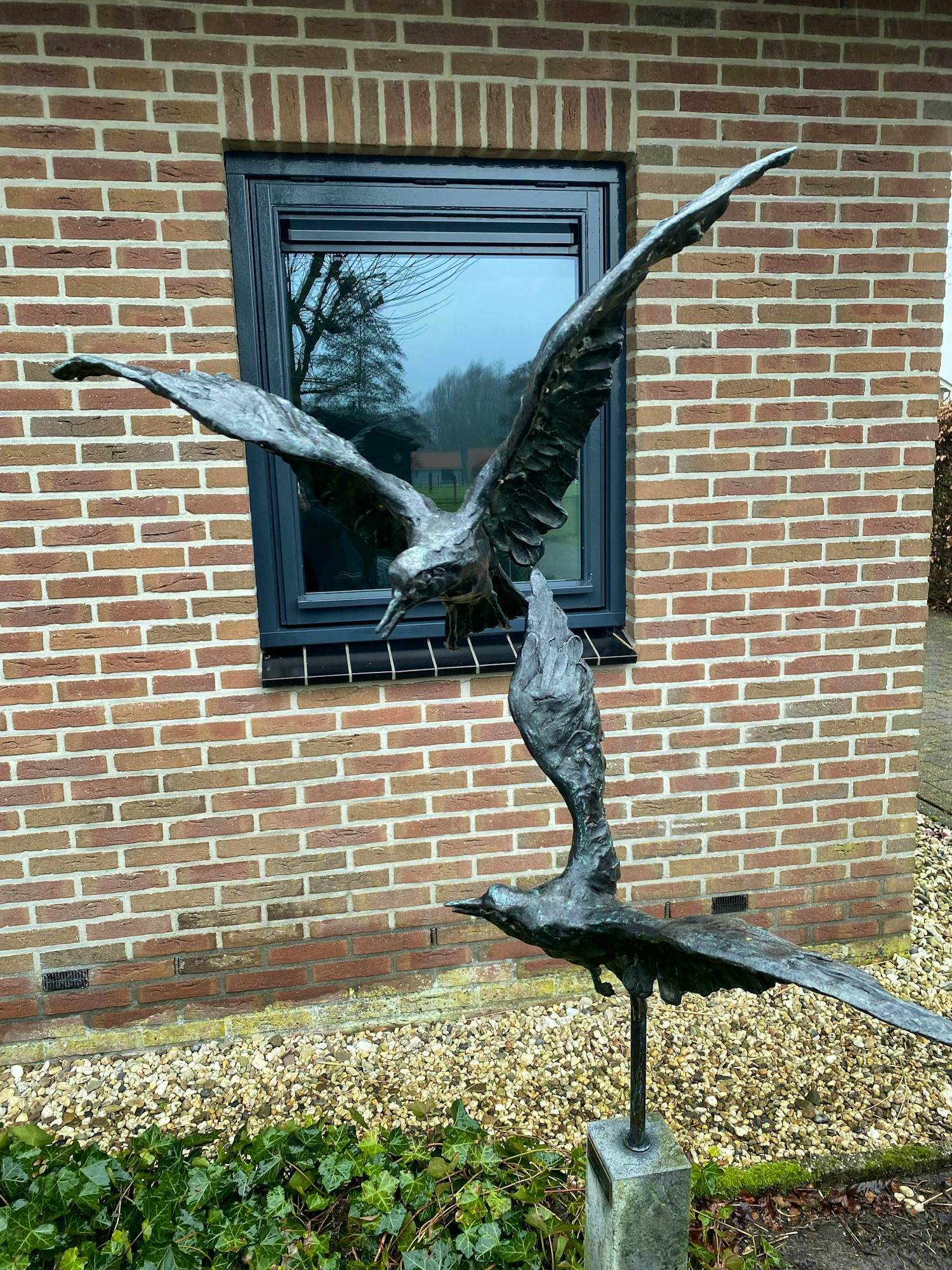 Jacqueline van der Laan - Twee meeuwen kopen? Bied vanaf 1200!