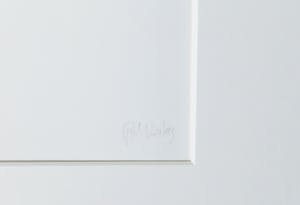 Paul Versteeg - Zeefdruk, Fusie - Ingelijst (Groot) kopen? Bied vanaf 1!