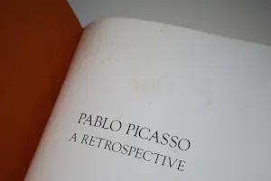 Pablo Picasso - kostbare hardcover 1980 Retrospective MoMA kopen? Bied vanaf 75!
