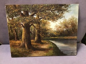 Niet of onleesbaar gesigneerd - Bos met water kopen? Bied vanaf 1!