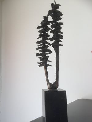 Ina Snoeijing - Twee bomen kopen? Bied vanaf 109!