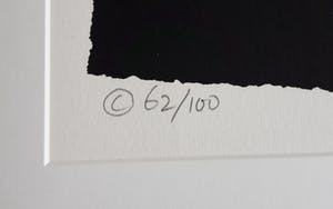 Hans Innemee - 'Pig' kopen? Bied vanaf 20!