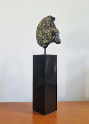 Ruurd Hallema - Erasmus kopen? Bied vanaf 100!