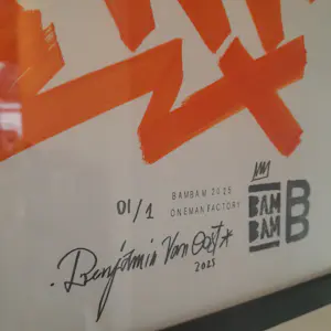 Benjamin Van Oost - Orange kopen? Bied vanaf 295!