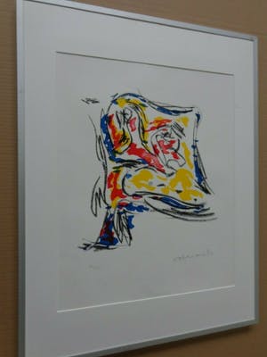 Theo Wolvecamp - THE FLAG / KLEURZEEFDRUK / 66x51cm / KADER / 1992 kopen? Bied vanaf 95!