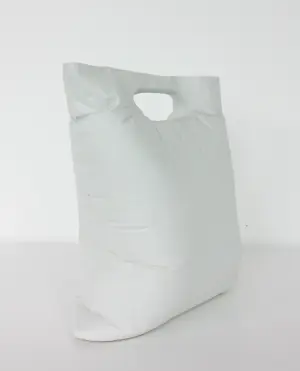 Michiel Van Luijn - Object van porselein, Tas kopen? Bied vanaf 100!