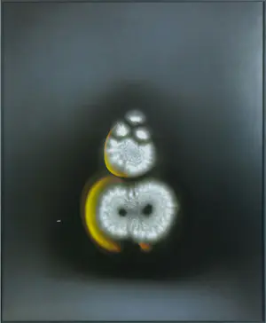 Paul den Hollander - 3 x Digitale print, Luminous Garden #103, #27 en #23 kopen? Bied vanaf 120!
