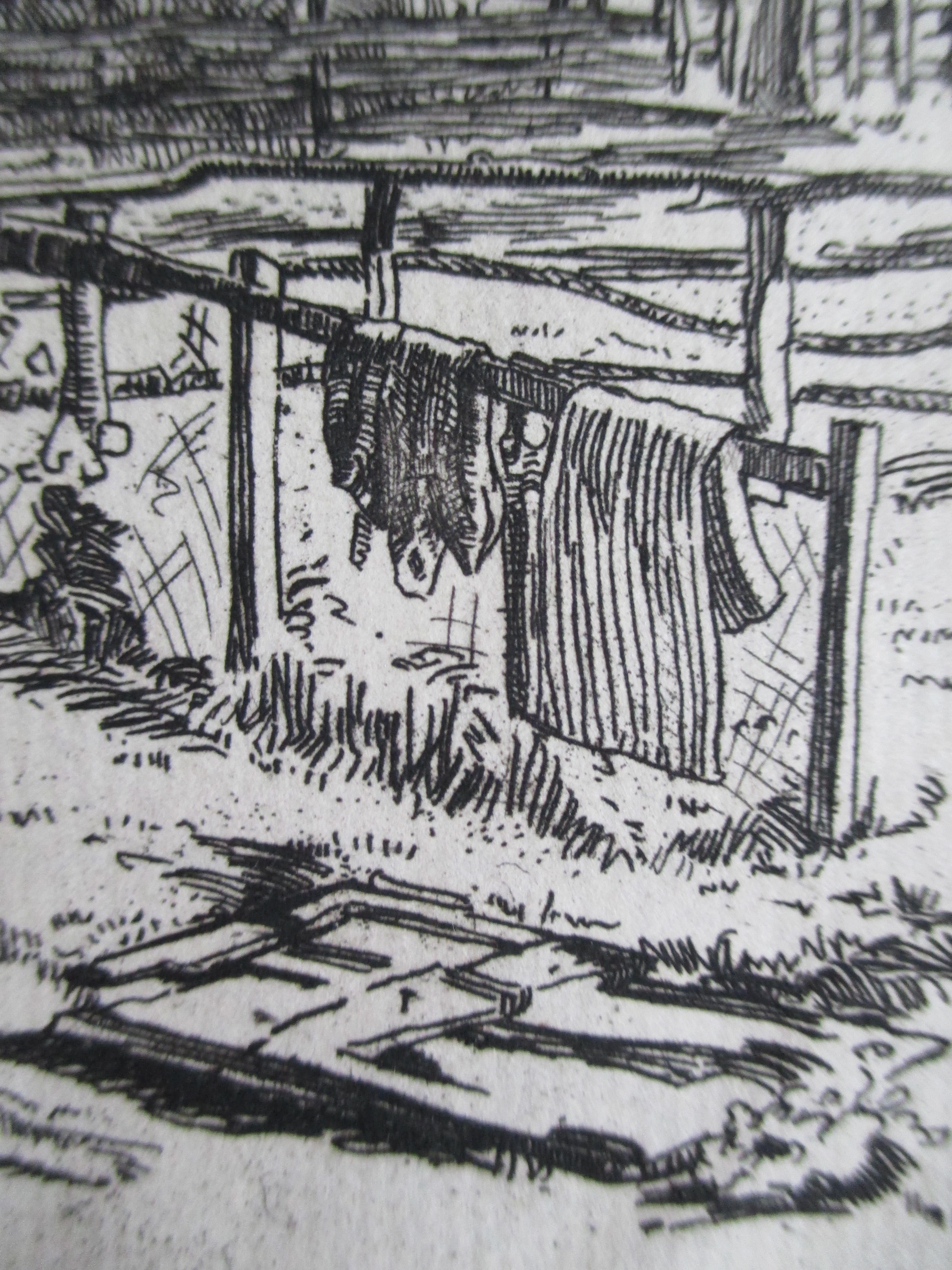 Debora Duyvis - ets boerderijerf kopen? Bied vanaf 20!