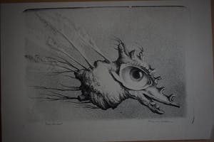 Hans van Dokkum - Het orgaanmonstertje met veren kopen? Bied vanaf 40!