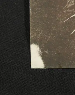 Hans Erni - Pferde, Litho kopen? Bied vanaf 1!