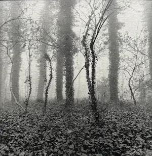 Ralph Janowski - 2x zeefdruk kopen? Bied vanaf 32!