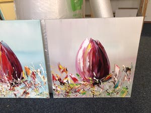 Gena - Bloemen Tulpen kopen? Bied vanaf 1!
