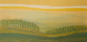 Fred Schimmel - Landschap - steendruk 18/65 - ingelijst - 21889 kopen? Bied vanaf 1!