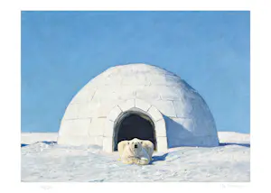 Mr Strange - The Guard Bear kopen? Bied vanaf 80!