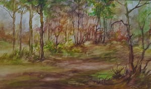 Ton Pape - landschap kopen? Bied vanaf 50!