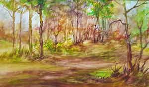 Ton Pape - landschap verkocht voor € 50!