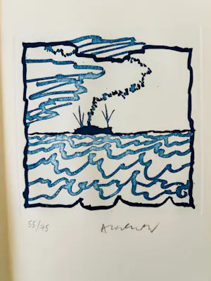 Pierre Alechinsky - Alechinsky, les traversées ( inclusief boek van Yves Bonnefoy in cassette. kopen? Bied vanaf 445!