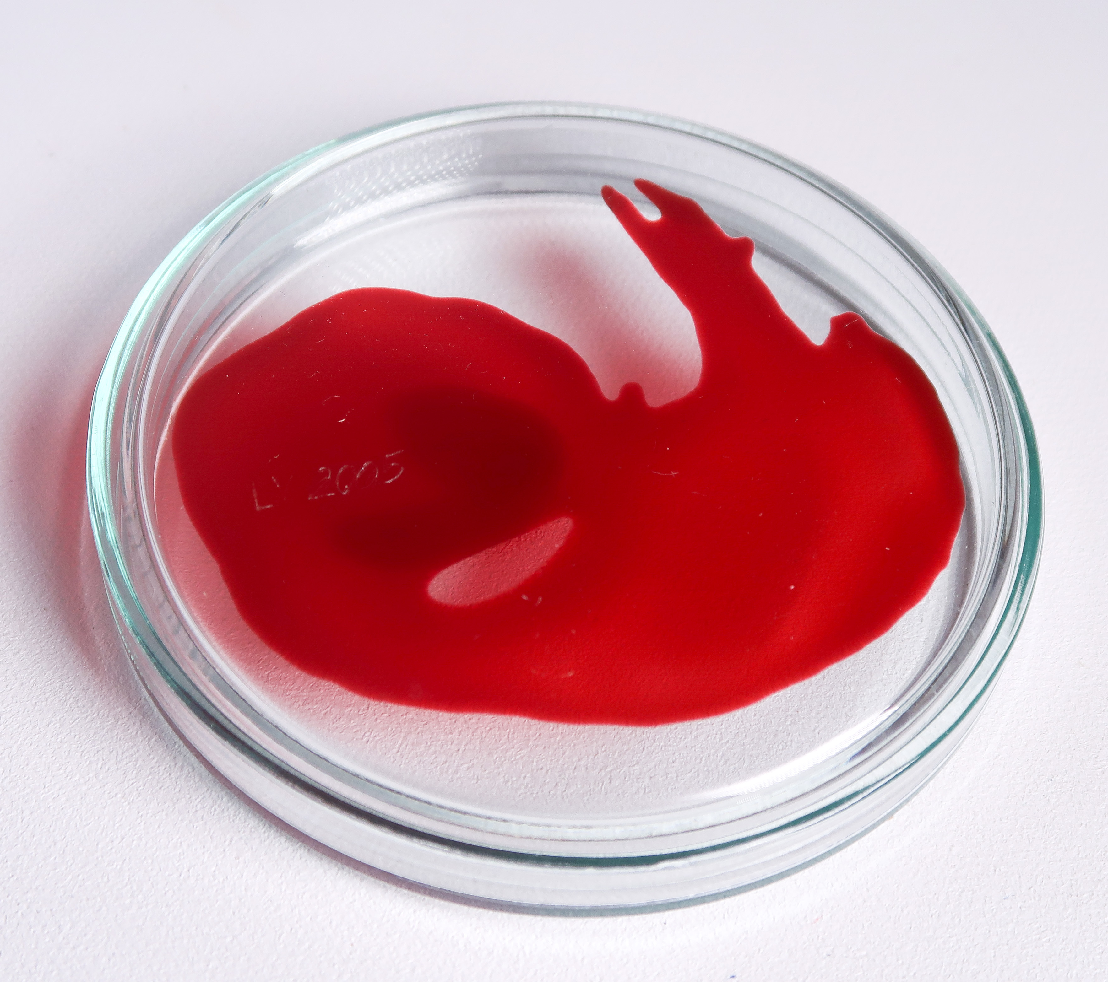 Lisette Verkerk - Beschilderd petrischaaltje, Origins kopen? Bied vanaf 1!