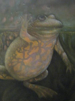 Jose van Kleef - ''the happy frog'' kopen? Bied vanaf 275!