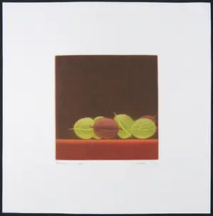 Joop Vegter - Mezzotint, Kruisbessen kopen? Bied vanaf 50!