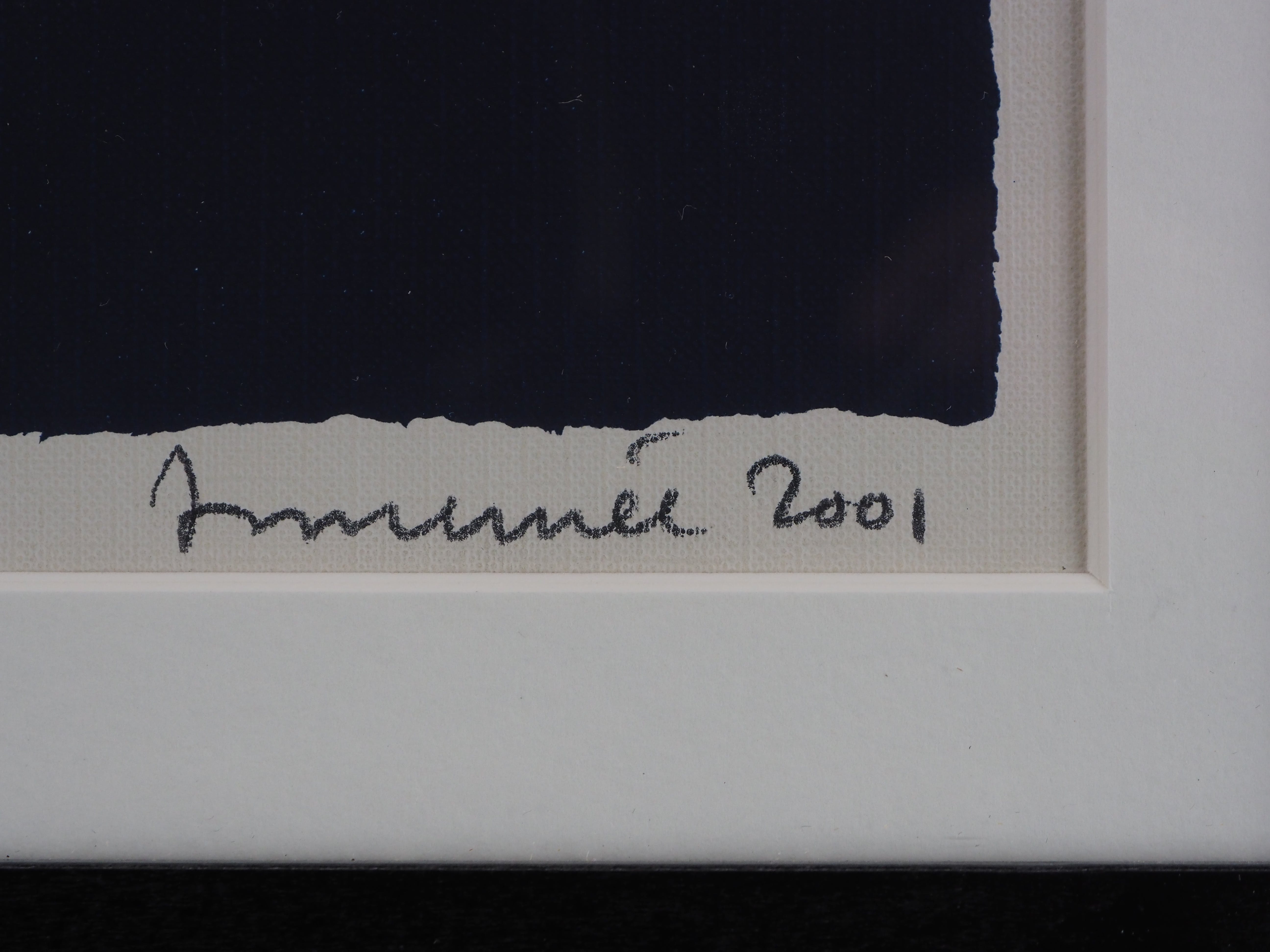 Hans Innemee - Kwaak, kwaak kopen? Bied vanaf 50!