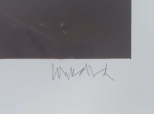 Paul Wunderlich - Litho - Fraai ingelijst kopen? Bied vanaf 1!