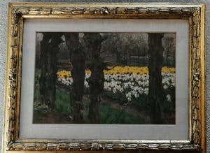 Anton L. Koster - Bloembollenveld bij de "Glip" (Heemstede) kopen? Bied vanaf 1950!