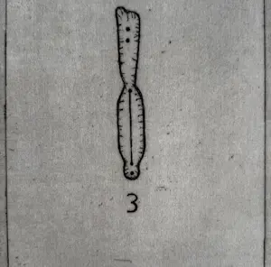 Reinier Lucassen - Handgesigneerde ets | 'Idol 3' | 1988 kopen? Bied vanaf 120!