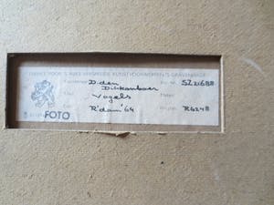 Daniel den Dikkenboer - Vogels 1964. kopen? Bied vanaf 120!