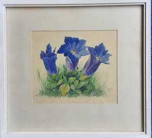 Jan Voerman (jr.) - Bloemen in gras kopen? Bied vanaf 50!