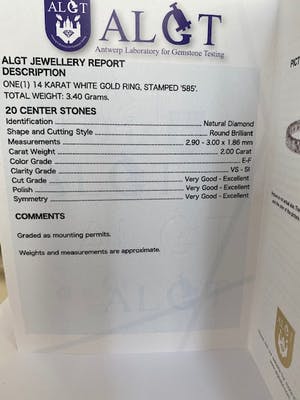 14 karaats witgouden alliance ring met diamanten ca. 2,00 crt kopen? Bied vanaf 1700!