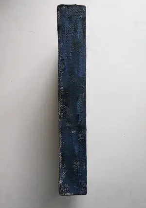 Vincent Hamel - VERFSTRUCTUUR (blauw) 1999 kopen? Bied vanaf 135!