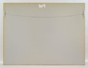 Geert Vrijdag - Tygris kopen? Bied vanaf 50!