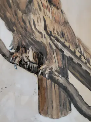 Tijmen Moll - Portret van een uil kopen? Bied vanaf 125!