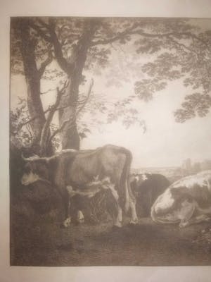 Petrus Johannes Arendzen - Koeien in de wei. kopen? Bied vanaf 1!