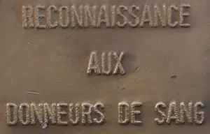 Onbekend - Mooie penning Croix Rouge de Belgique kopen? Bied vanaf 20!