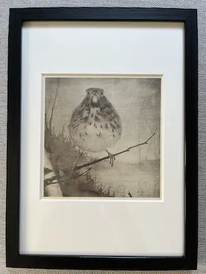 Jan Mankes - Originele Heliogravure - Lijster op Tak 1923 kopen? Bied vanaf 165!