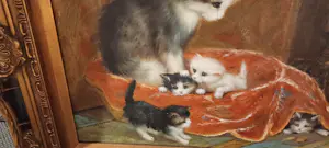 Armin Stern - Katze mit Kätzchen kopen? Bied vanaf 100!