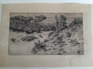 Hendrik Henrichs - Ets, landschap. kopen? Bied vanaf 20!