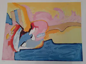 Ton van Kesteren - Prachtige kleurrijke grote zeefdruk kopen? Bied vanaf 35!