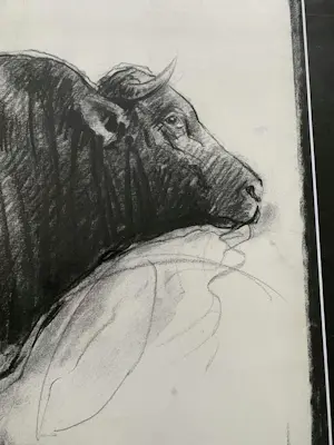 Nico Vrielink - Stier UNICA‼️ kopen? Bied vanaf 299!