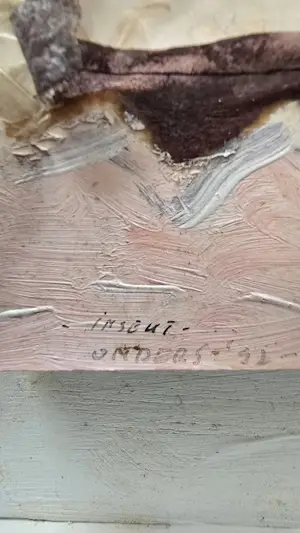 Rene Donders - Insekt kopen? Bied vanaf 50!