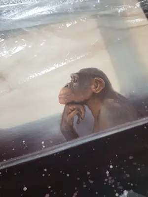 Mr. Strange - Sein oder Nichtsein (II) kopen? Bied vanaf 280!