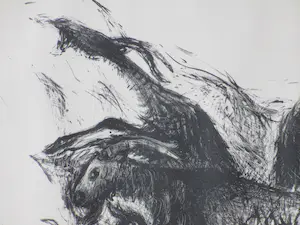 Kees Andrea - Spaanse geiten - Litho kopen? Bied vanaf 40!