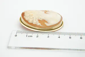 29- Grote antieke ovaalvormige 14 Krt gouden Victoriaanse Camee speld / broche kopen? Bied vanaf 90!